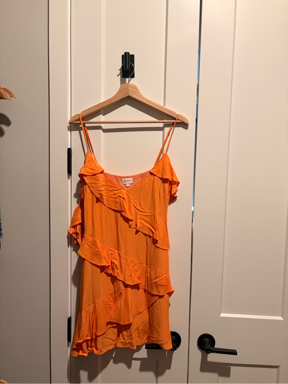 Song of style dress